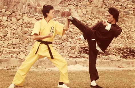 Enter the Dragon!  Kung Fu Action and 1970s Style!